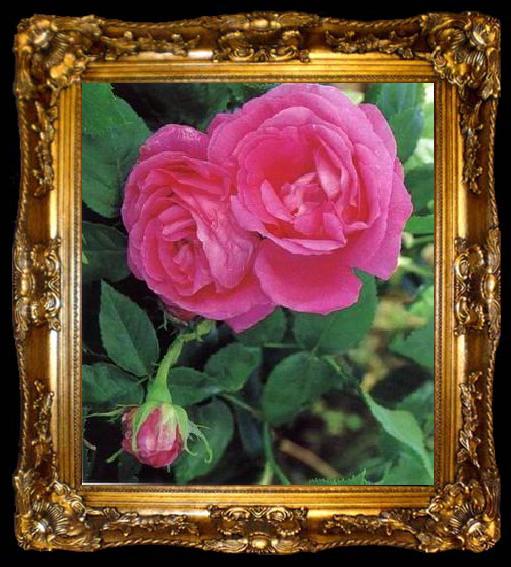 framed  unknow artist Still life floral, all kinds of reality flowers oil painting 326, ta009-2